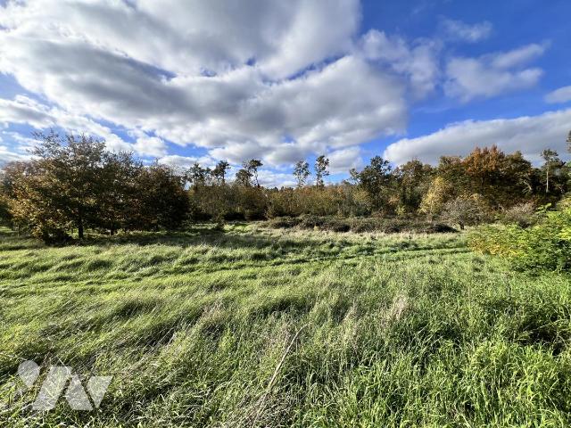 Sale - Land - NOYERS SUR CHER - 1,300 m² - 41033-1748
