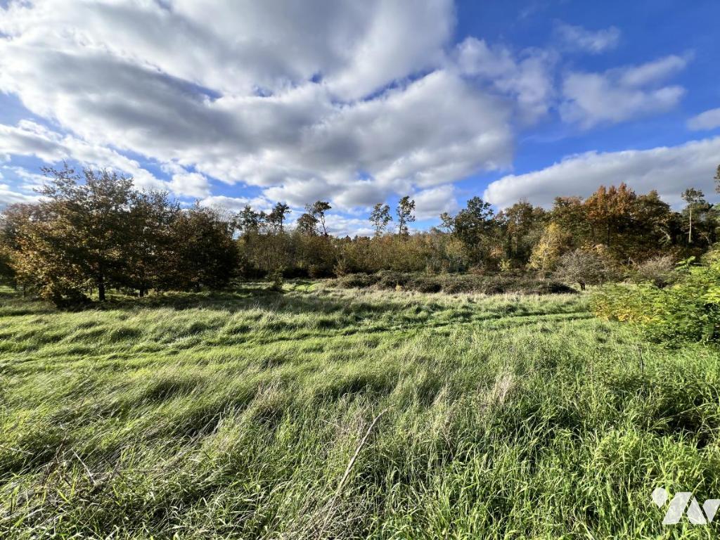 VENTE terrain-NOYERS SUR CHER (41)