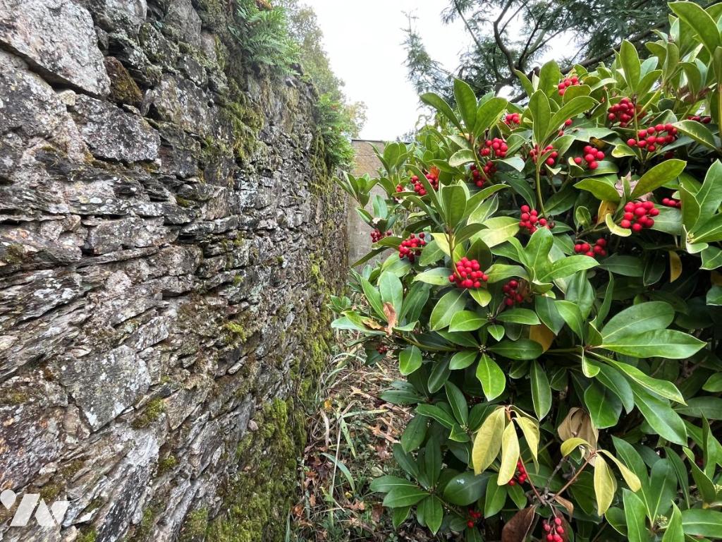 VENTE maison-ST HERBLAIN (44)