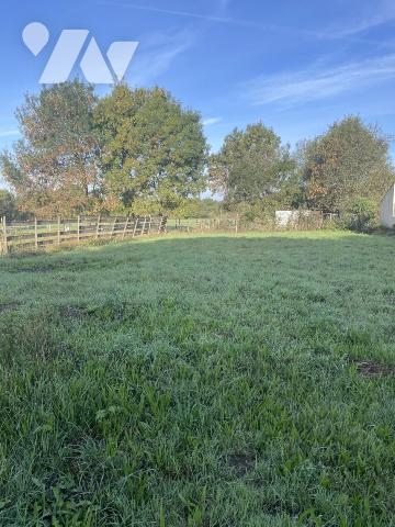 Vente - Terrain - BRAINS - 480 m² - 44023-754