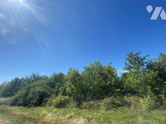 Terrain — Maisdon-sur-Sèvre