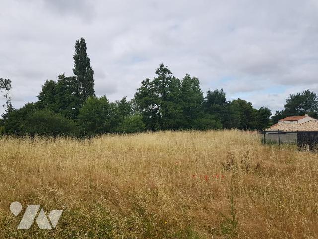 Terrain — Monnières