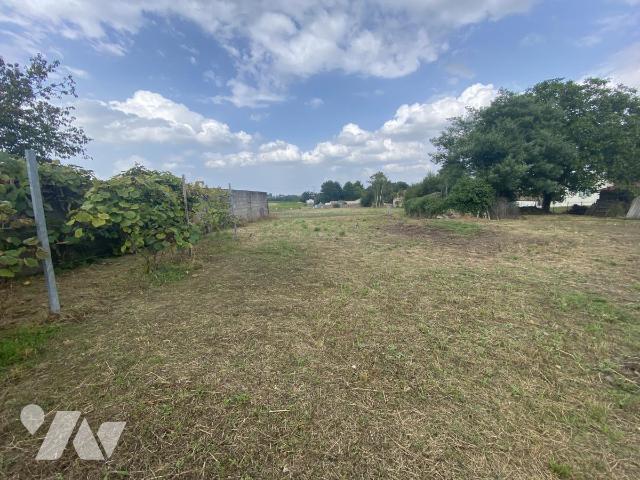 Vente - Terrain - ST FIACRE SUR MAINE - 385 m² - 44044-1951