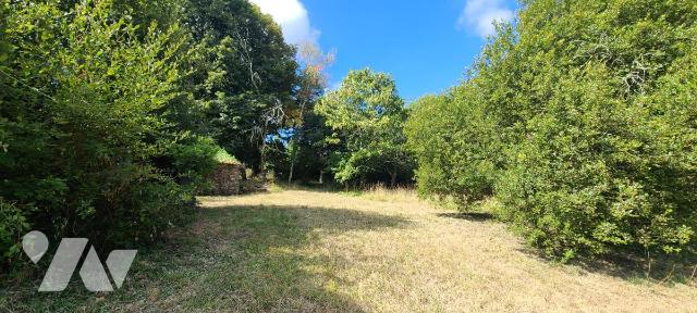 Vente - Terrain - BASSE GOULAINE - 1 164 m² - 44044-1970