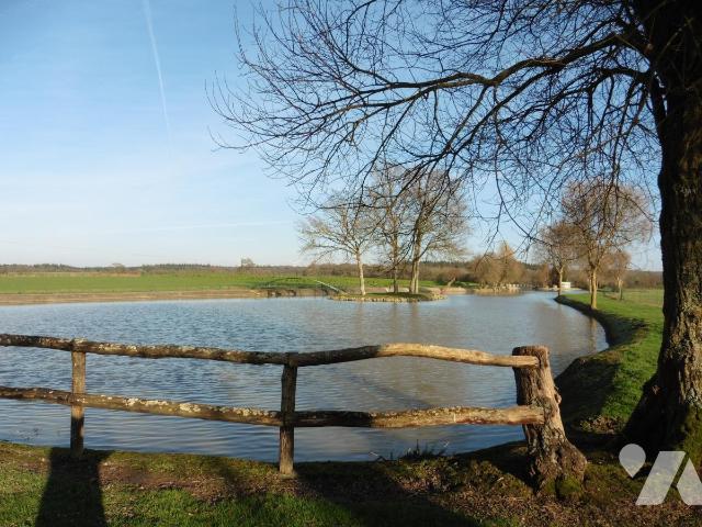 Vente - Terrain - LA CHAPELLE GLAIN - 15 910 m² - 44051-649
