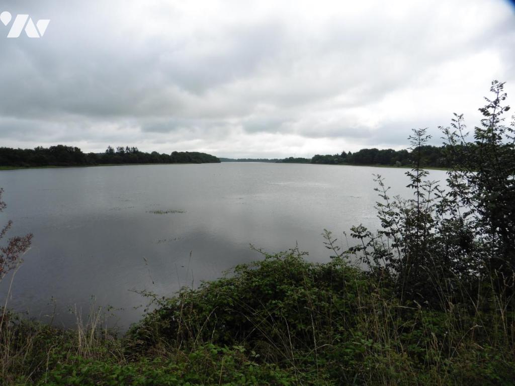 VENTE maison-JOUE SUR ERDRE (44)