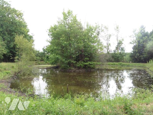 Terrain — Riaillé