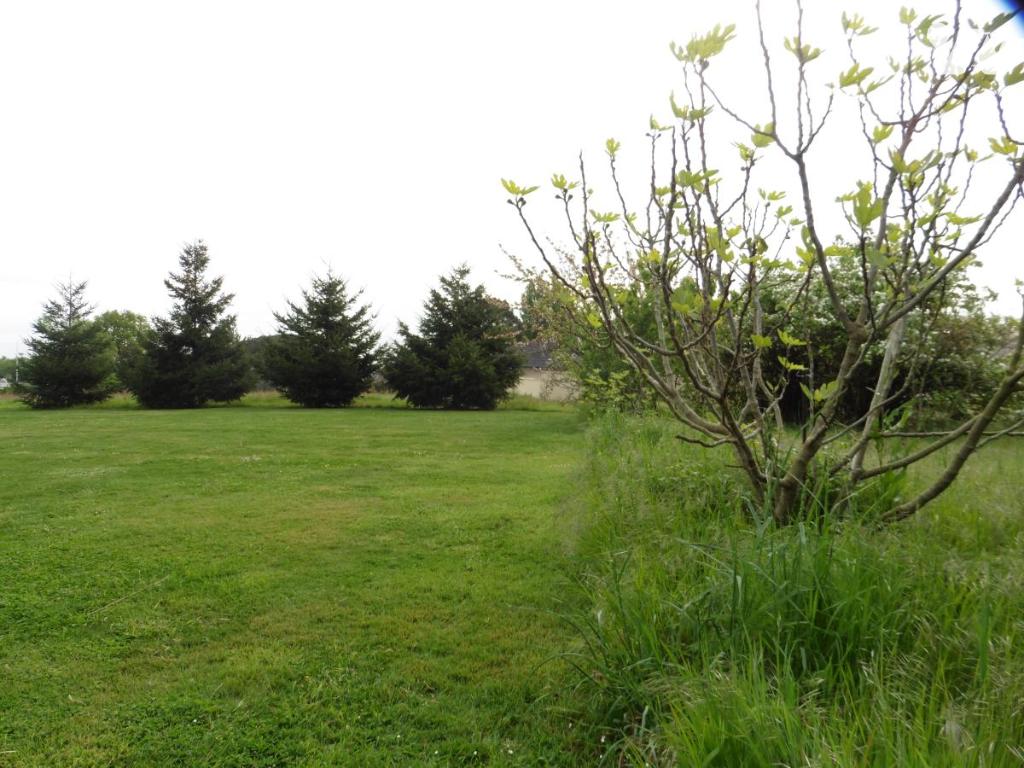 Terrain 330 m² · à Ancenis-Saint-Géréon · 330 m² · 110 000 €