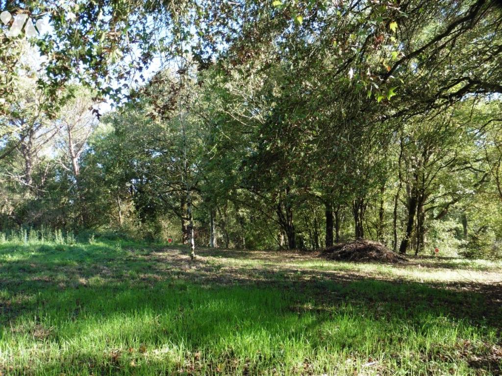 Terrain 314 m² · à Riaillé · 314 m² · 30 000 €