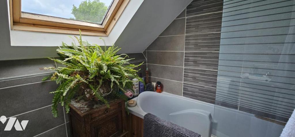 VENTE maison-RIAILLE (44)