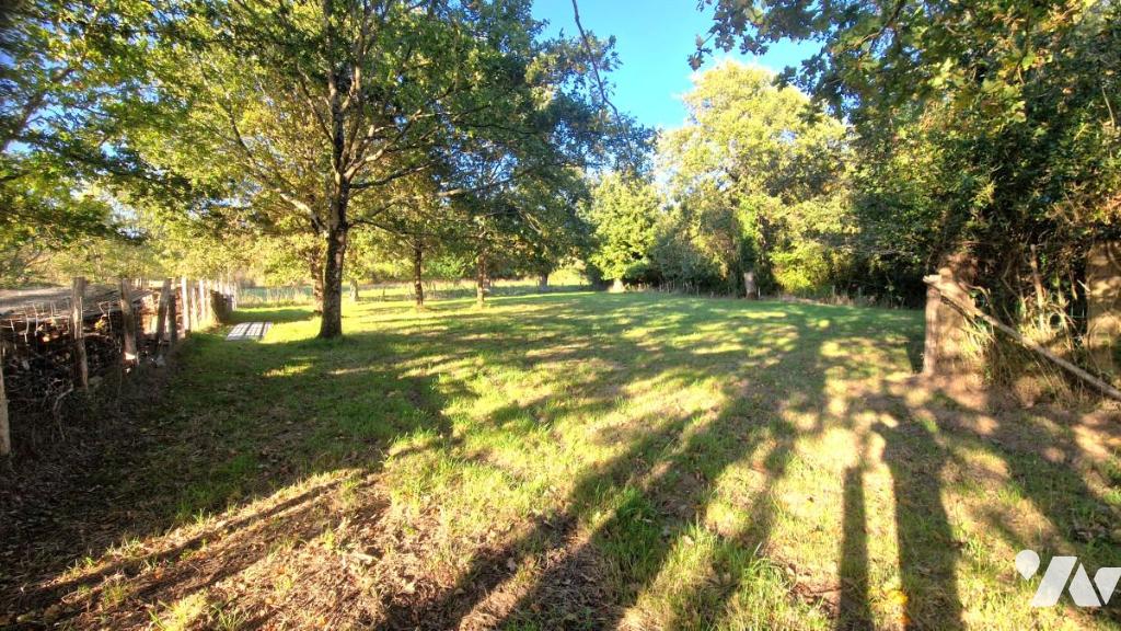 VENTE maison-ST VIAUD (44)