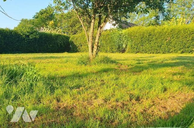 Terrain 446 m² · à Notre-Dame-des-Landes · 446 m² · 75 000 €