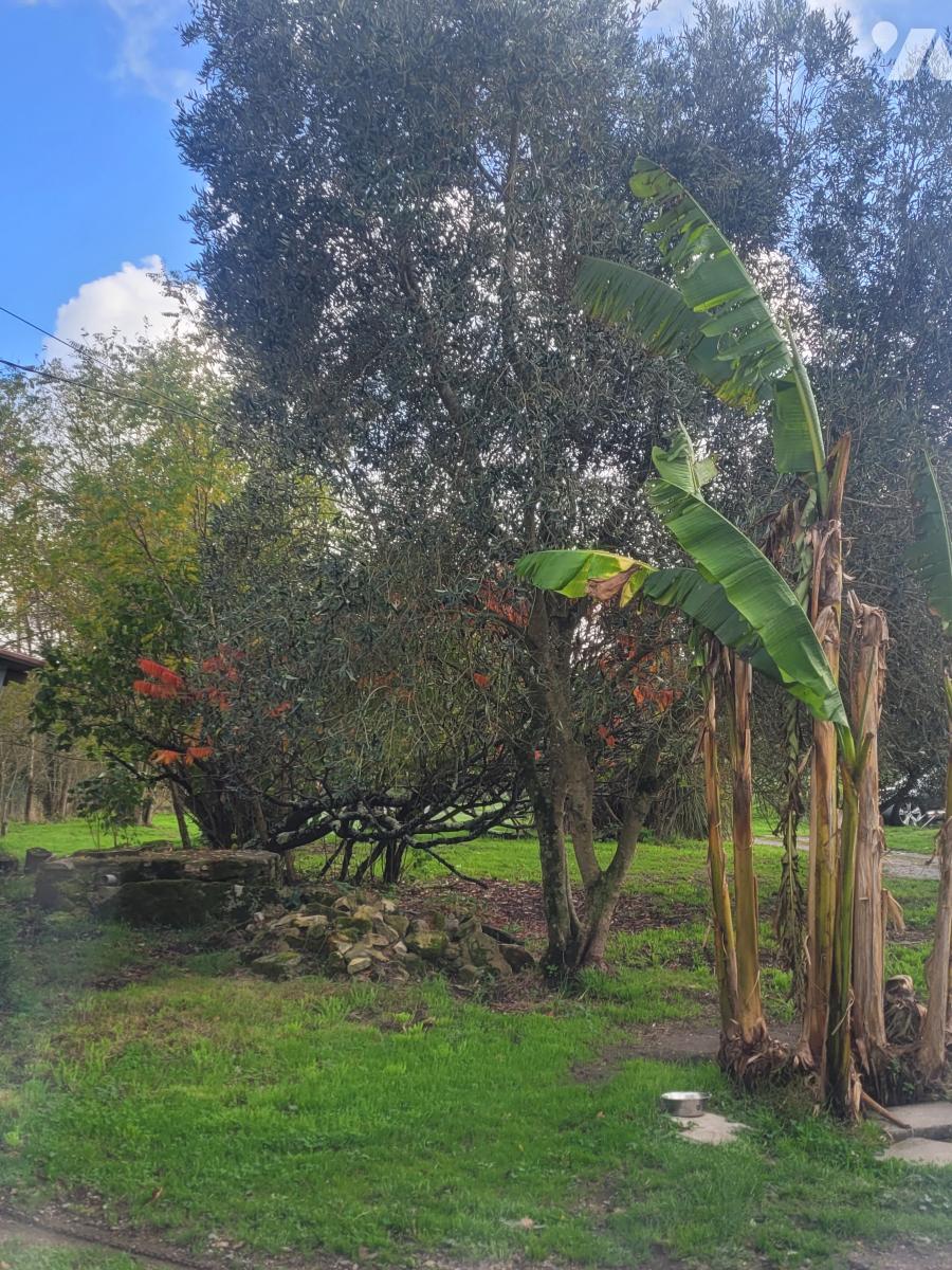 VENTE maison-CORDEMAIS (44)