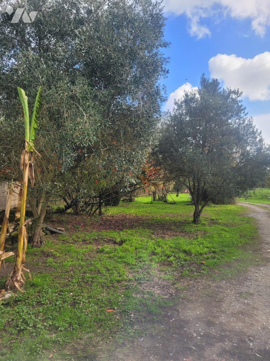 VENTE maison-CORDEMAIS (44)