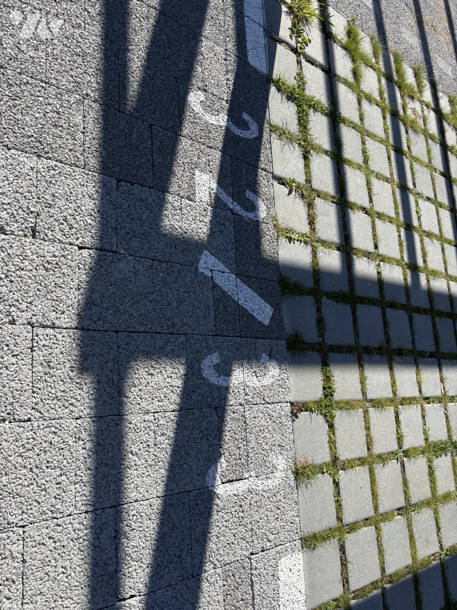 LOCATION appartement-SAVENAY (44)