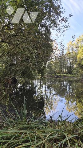 Vente - Terrain - CAMPBON - 25 480 m² - 44113-1239