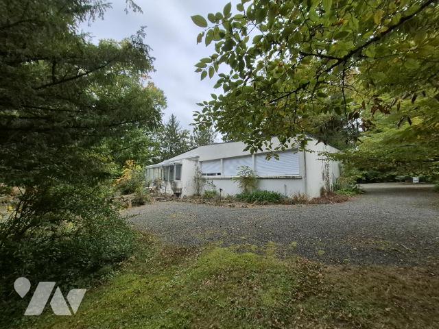 Vente - Maison / villa - BASSE GOULAINE - 217 m² - 10 pièces - 44118-1237