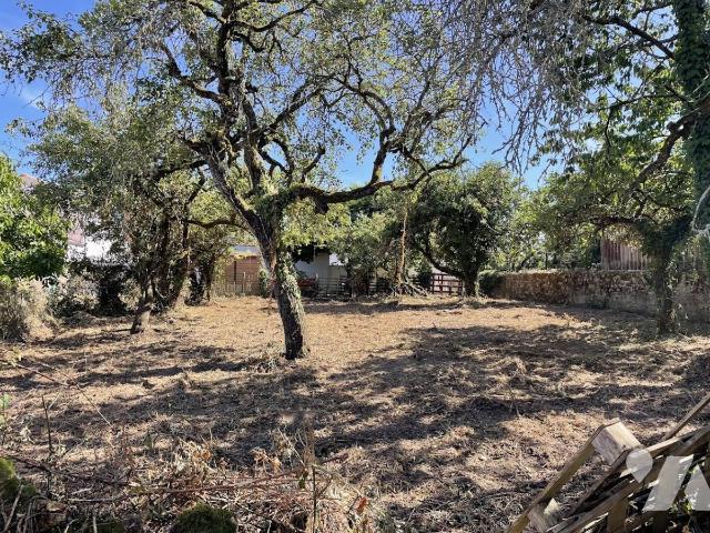 Terrain 338 m² · à Saint-Brevin-les-Pins · 338 m² · 85 000 €