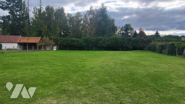 Vente - Terrain - CHATEAUNEUF SUR LOIRE - 800 m² - 45021-2560