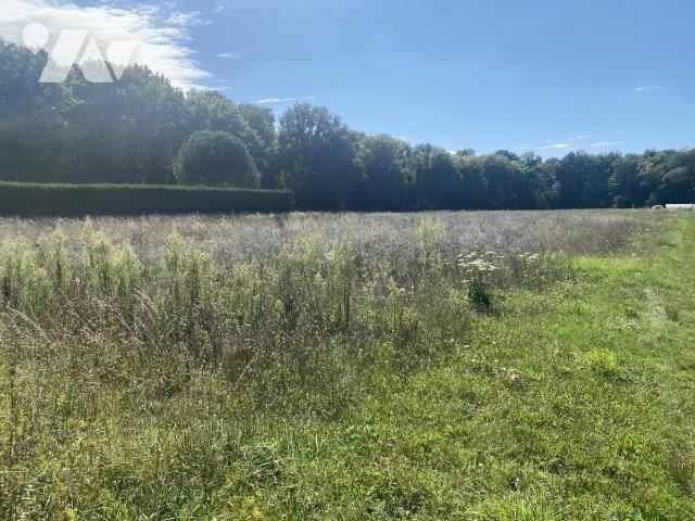 Vente - Terrain - AMILLY - 2 262 m² - 45050-1355