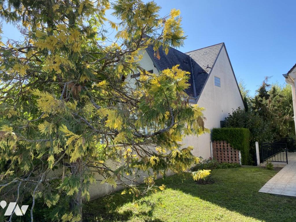 VENTE maison-AMILLY (45)