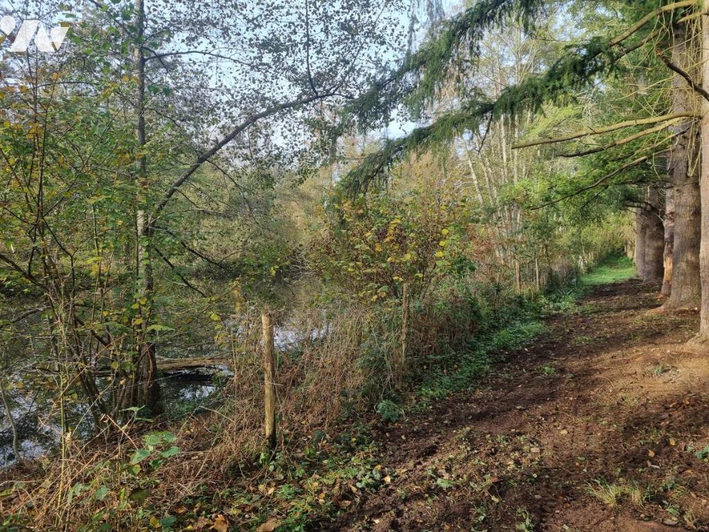 VENTE localDivers-COURTEMAUX (45)