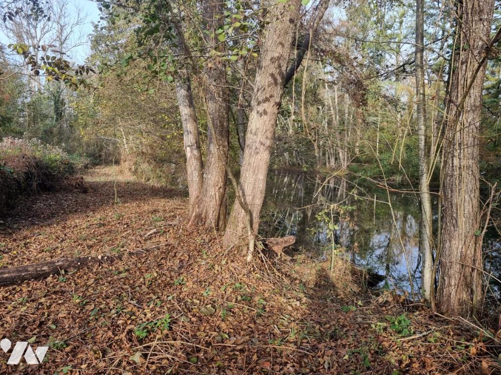 VENTE localDivers-COURTEMAUX (45)