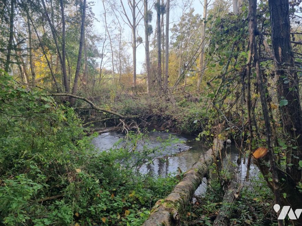 VENTE localDivers-COURTEMAUX (45)