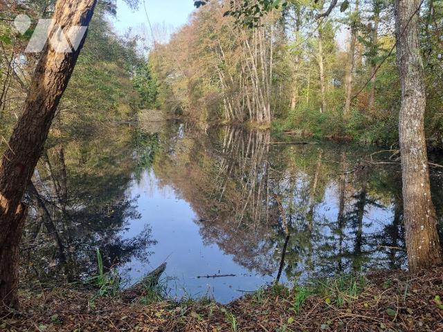 Vente - Local divers - COURTEMAUX - 6 670 m² - 45050-1374