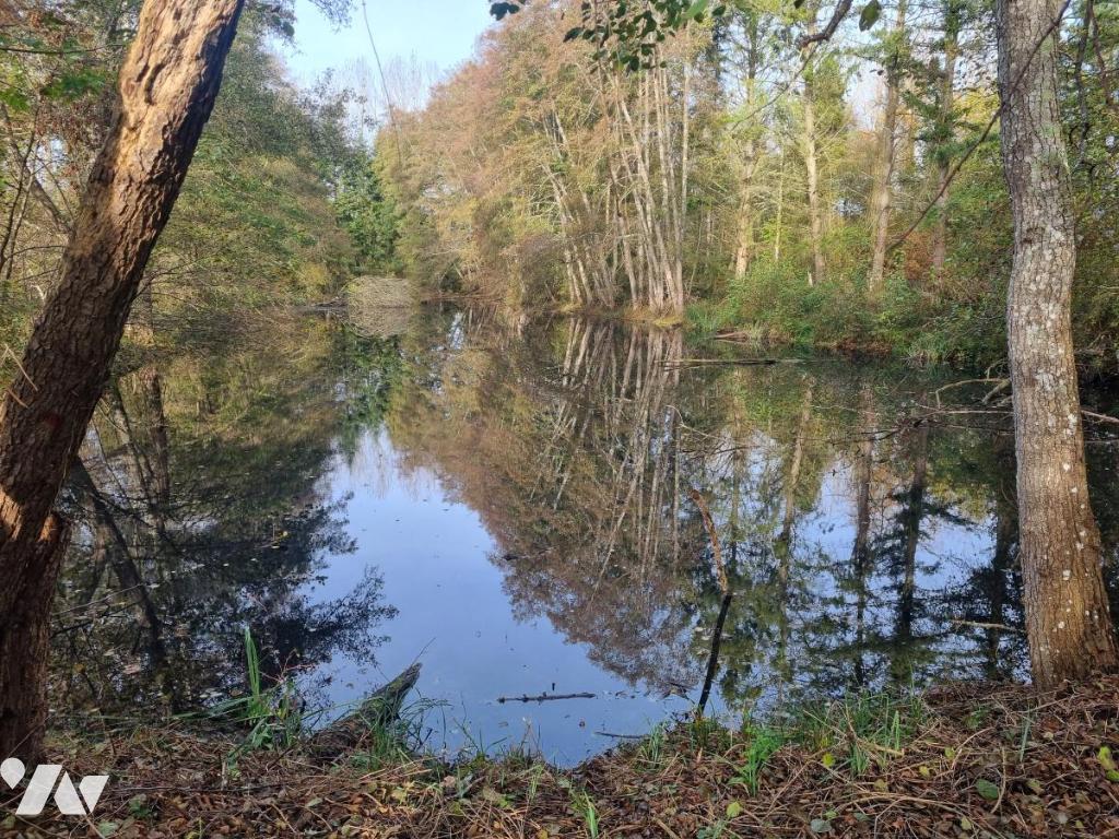 VENTE localDivers-COURTEMAUX (45)