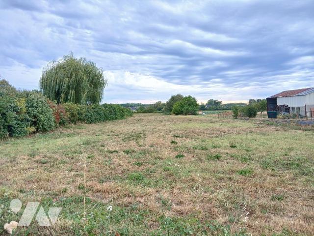 Terrain — Mazé-Milon