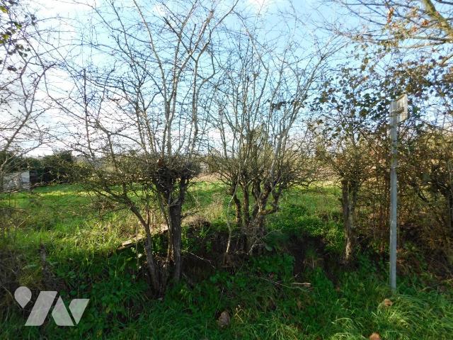 Terrain 805 m² · à Hauts-d'Anjou · 805 m² · 28 175 €