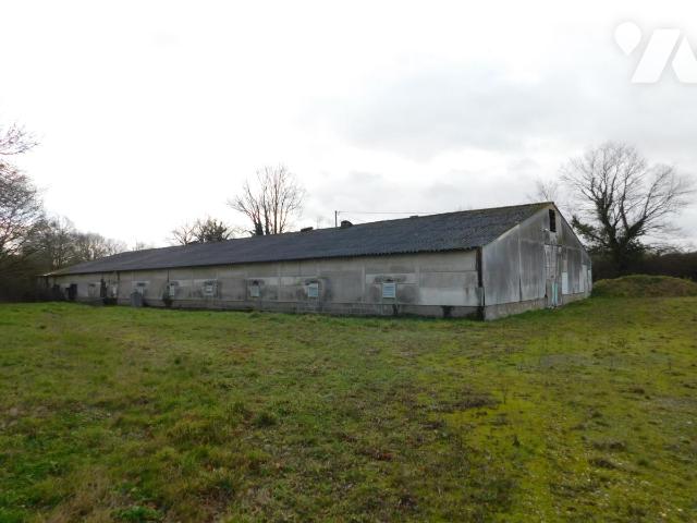 Local divers 760m² — Notre-Dame-du-Pé