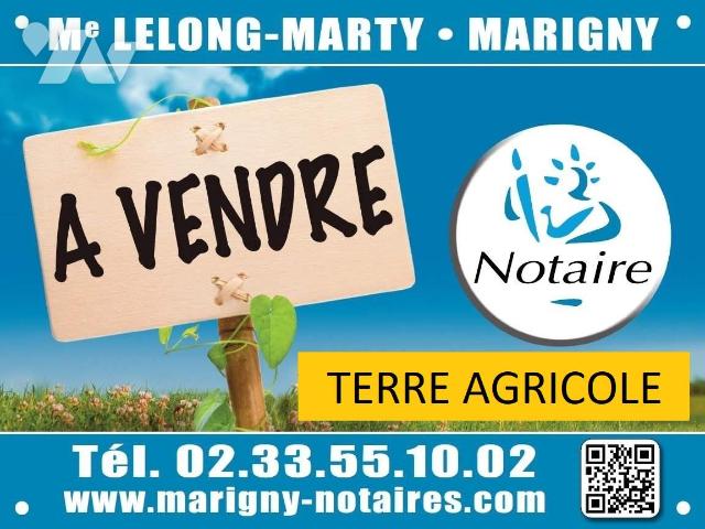 Terrain — Marigny-Le-Lozon