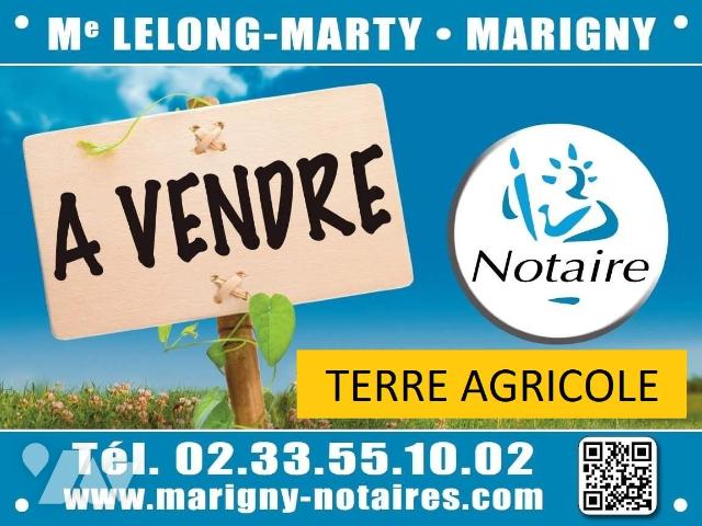 Terrain — Montreuil-sur-Lozon