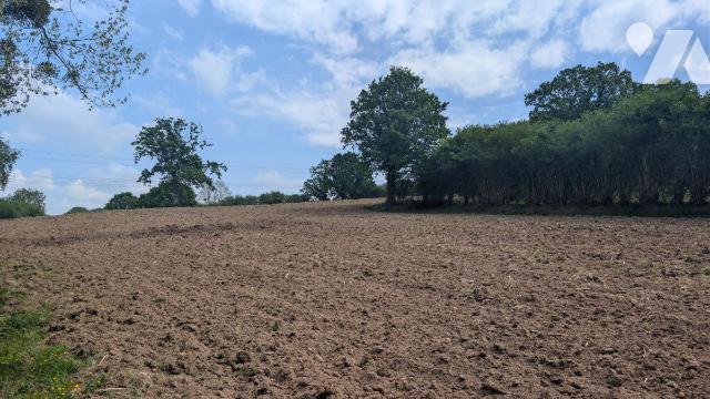 Terrain 23575 m² · à Villedieu-les-Poêles-Rouffigny · 23 575 m² · 25 375 €