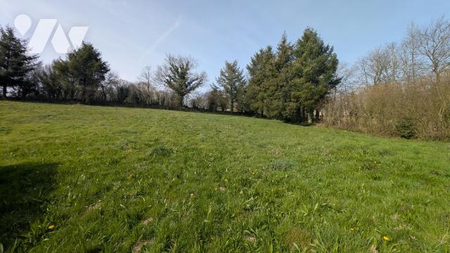 Terrain — Sainte-Cécile