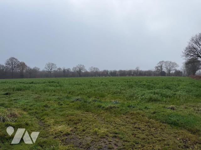 Local divers 640m² — Chérencé-le-Héron
