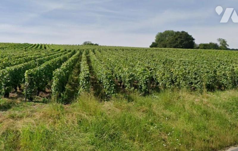 Terrain 4564 m² · à Vauciennes · 4 564 m² · 456 400 €