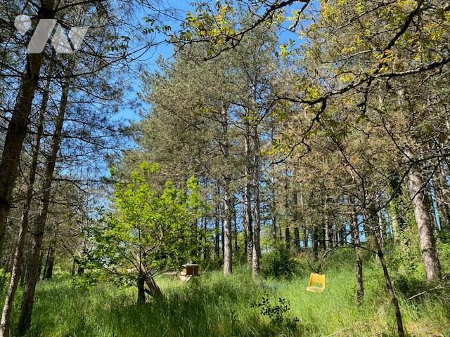 Terrain — Montigny-sur-Vesle