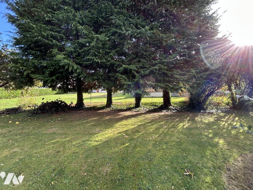 VENTE maison-VILLE EN TARDENOIS (51)