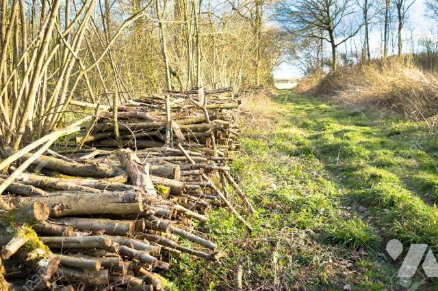 Terrain — Sogny-aux-Moulins