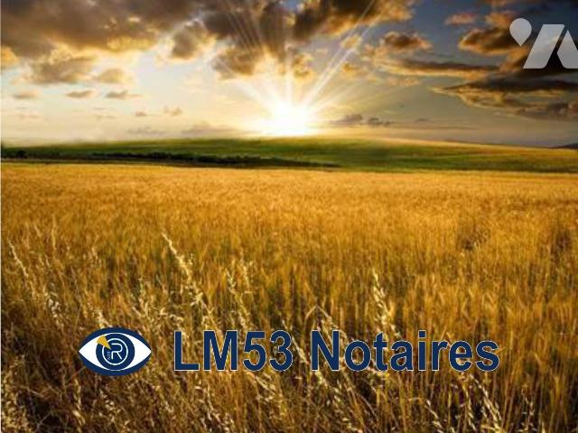 Vente - Terrain - LA BAZOUGE DES ALLEUX - 53 870 m² - 53004-1251