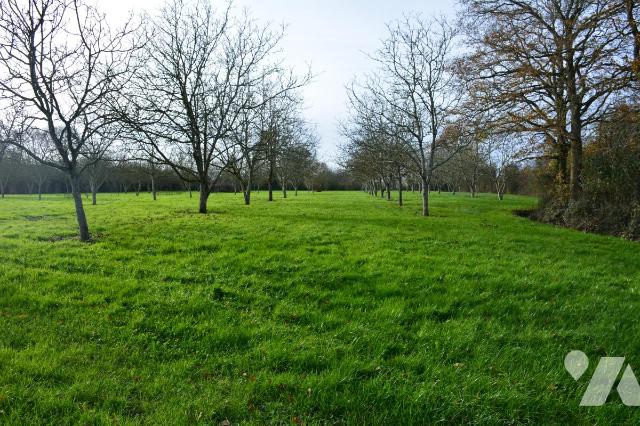 Terrain — Grez-en-Bouère