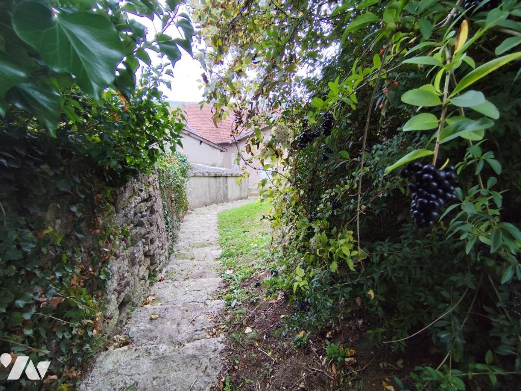 VENTE maison-DUN SUR MEUSE (55)