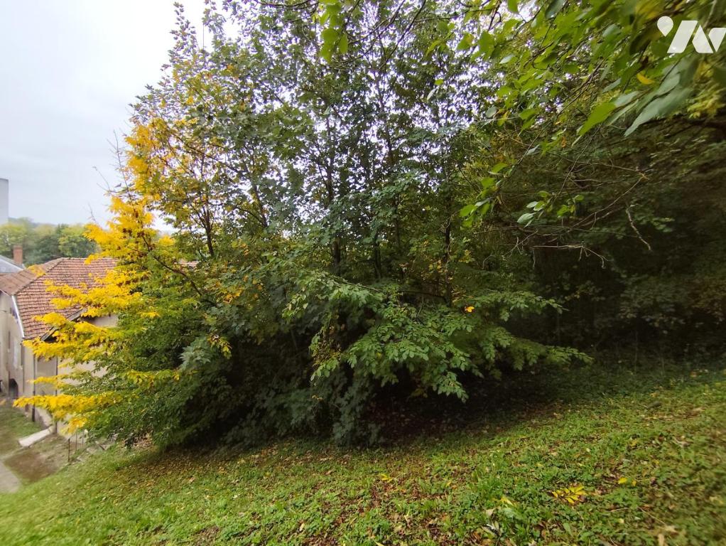 VENTE maison-DUN SUR MEUSE (55)