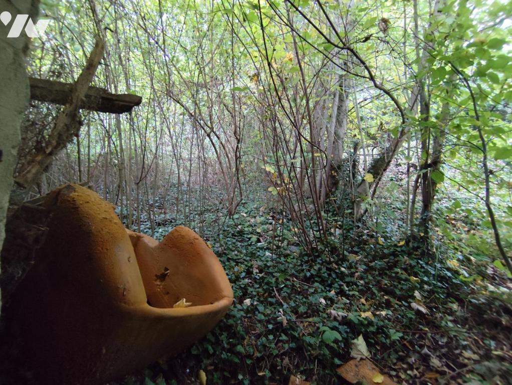 VENTE maison-DUN SUR MEUSE (55)