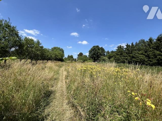 Vente - Terrain - VERDUN - 3 039 m² - 55061-131