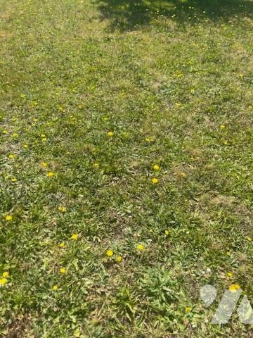 Terrain 985 m² · à Noyal-Pontivy · 985 m² · 60 000 €