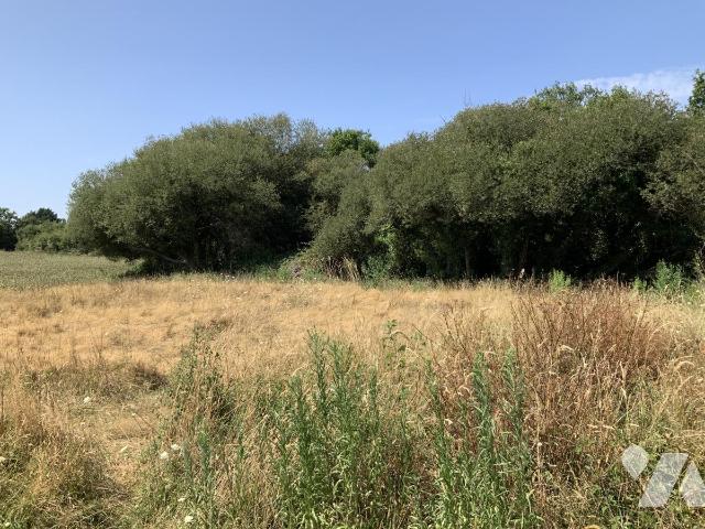 Terrain 651 m² · à Arzon · 651 m² · 288 000 €